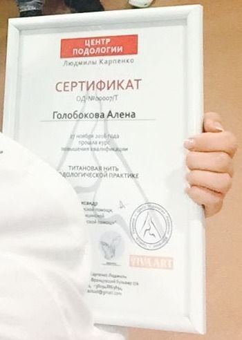 Certificaat op naam van Alona Holobokova, 27 november 2016